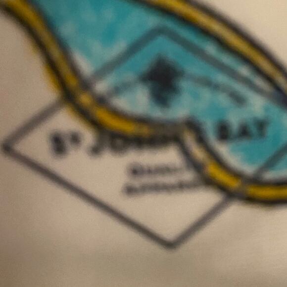 St. John’s Bay Floral Skirt Size 18W Mini Y2K 
1990’s - Picture 4 of 6